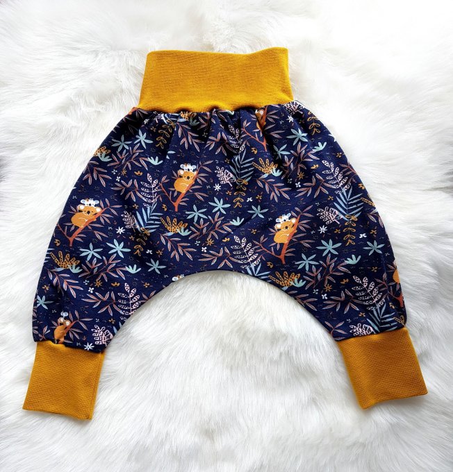 Sarouel évolutif koalas marine